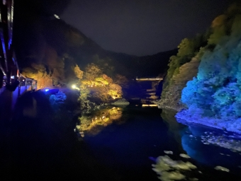 ニュース画像：嵯峨野観光トロッコからの沿線のライトアップの様子  2021年撮影