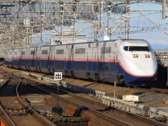 ニュース画像：(E1系新幹線 もりもりさん 2011年01月10日撮影)