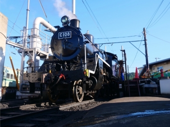 ニュース画像：SL急行かわね路号を牽引するC10形蒸気機関車8号機 - 「大鐵「SL急行かわね路号」、13か月ぶりに運転再開！バック運転も復活」