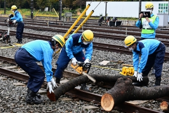 ニュース画像：線路上に流出した支障物(木)の撤去、大きなものはチェーンソーで小さくし、人力で運び出します