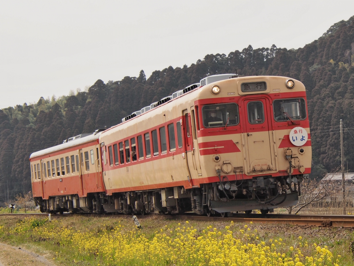 定期運行終了の「いすみ鉄道キハ28形」と「小湊鐵道キハ40形」コラボ 
