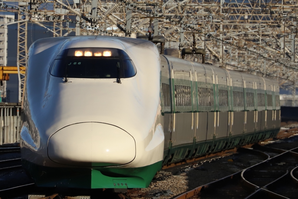 ニュース画像：200系復刻カラーラッピングのJ66編成(E2系新幹線 立体さん 2022年12月09日撮影) - 「2022年、もっとも注目された列車は？みんなが検索した「編成」ランキング 」
