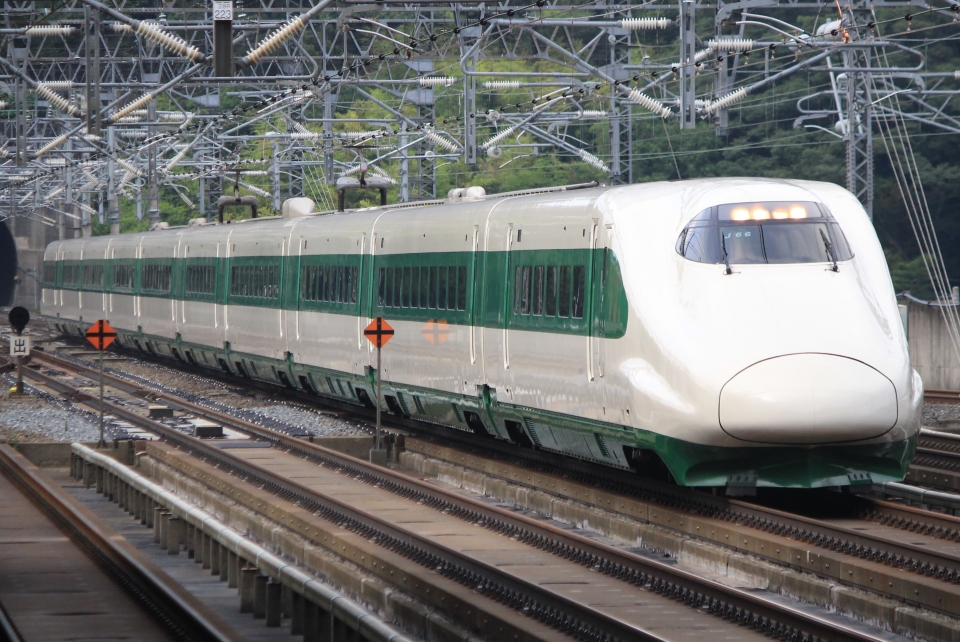 ニュース画像：第1位はE2系「J66」200系カラー復刻ラッピング(E2系新幹線 キイロイトリさん 2022年07月28日撮影) - 「2022年、もっとも注目された列車は？みんなが検索した「編成」ランキング 」