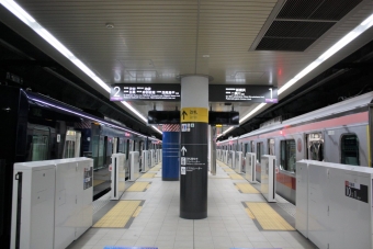 ニュース画像：新綱島駅 ホームの様子 鉄道・運輸機構 公式Twitterより