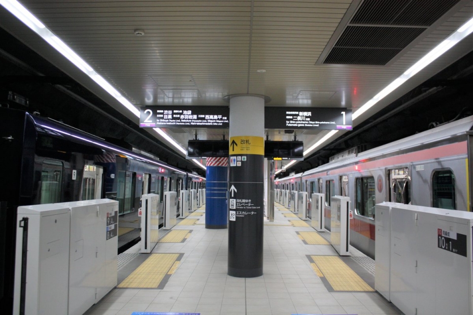 ニュース画像：新綱島駅 ホームの様子 鉄道・運輸機構 公式Twitterより - 「2023年3月18日 ダイヤ改正！新規開業・廃止駅はどこ？」