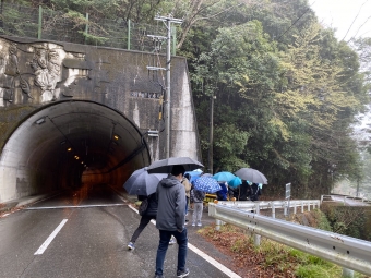 ニュース画像：雨の中ですが、奥大井湖上駅に向け歩きます！