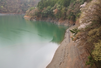 ニュース画像：湖に沈む前の旧井川線跡が