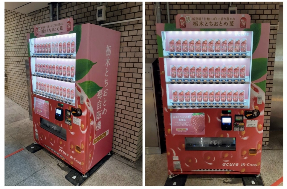ニュース画像：東京駅と宇都宮駅に期間限定で設置されている「いちごドリンク専用自動販売機」 - 「ありそうでなかった？“みるく”入ってない「いちごドリンク」、エキナカで買ってみた」