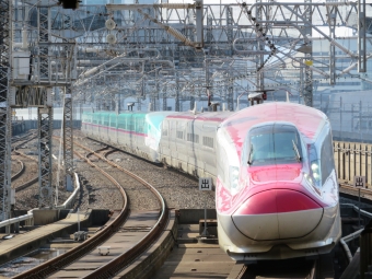 ニュース画像：新幹線 イメージ E6系新幹線 2023年04月09日撮影 - 「新幹線ほぼ元通り！JR各社、2023GWの列車指定席予約状況を発表 」
