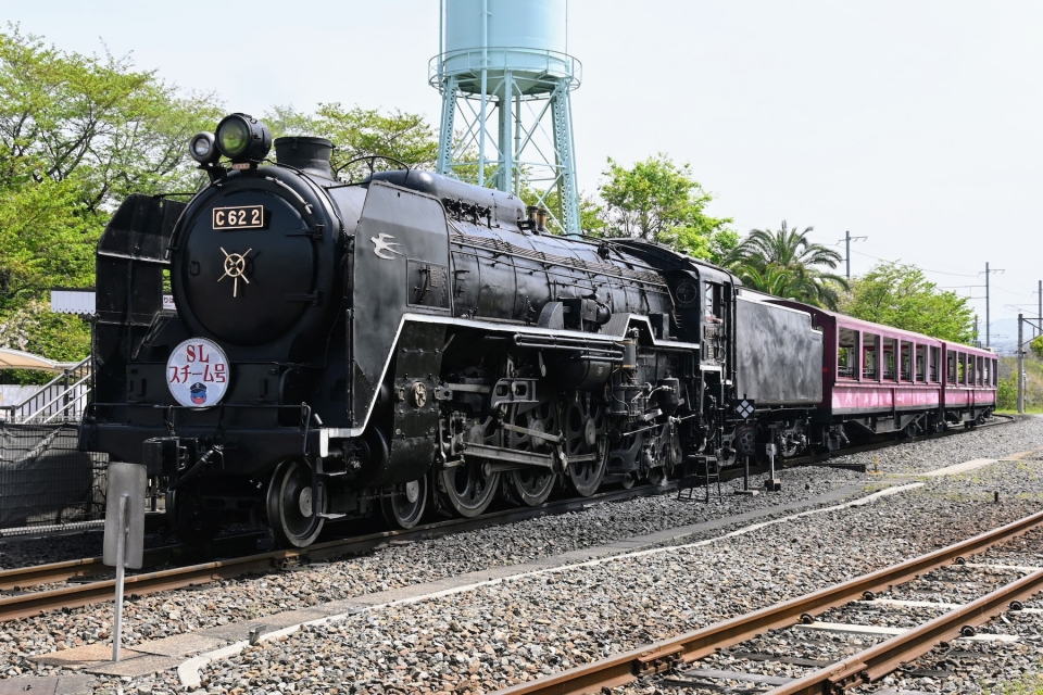 ニュース画像：気軽に蒸気機関車乗車が楽しめる「SL スチーム号」C62 2 - 「全ての“鉄”よ、集え！7周年を迎えた京都鉄道博物館へようこそ」