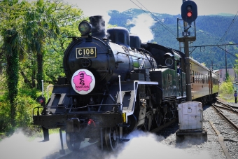 ニュース画像：C10形 2023年04月09日撮影 - 「NHK Dearにっぽん、「鉄路が途絶え、そして〜静岡・大井川鐵道〜」6月4日」