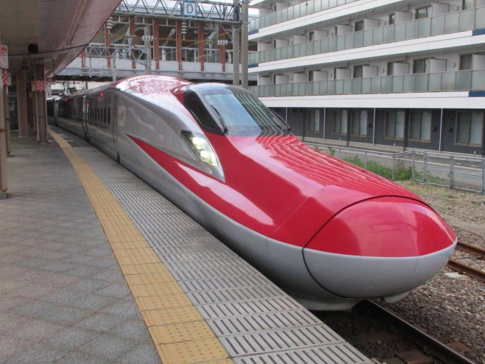 ニュース画像：E6系新幹線 2022年05月14日撮影 - 「秋田新幹線 7月20日再開に向け安全確認進む、五能線 被害大きく復旧に時間かかる見込み」