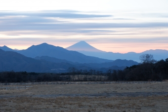 ニュース画像：清里方面からの富士山 イメージ 2020年12月27日乗車