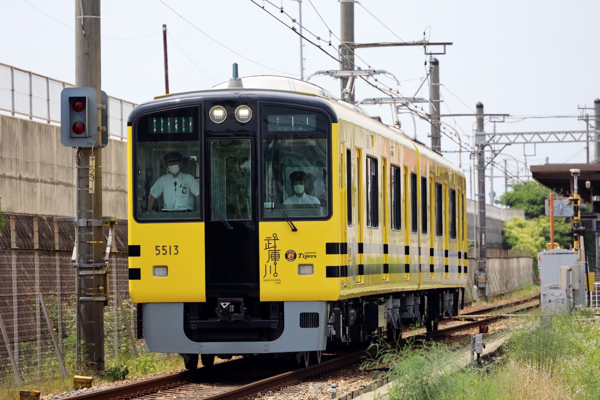 阪神電鉄、3日間限定 本線で「タイガース号」「甲子園号」運転！セ 