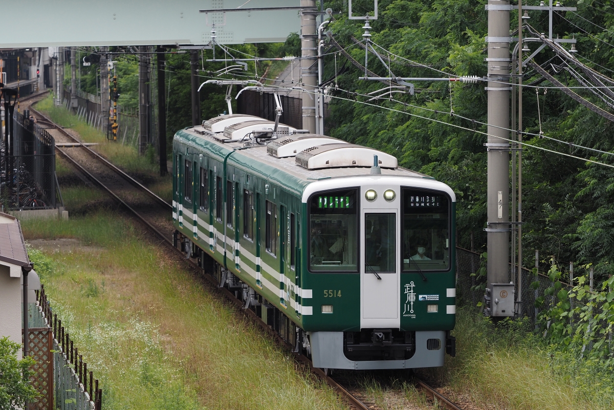 阪神電鉄、3日間限定 本線で「タイガース号」「甲子園号」運転！セ