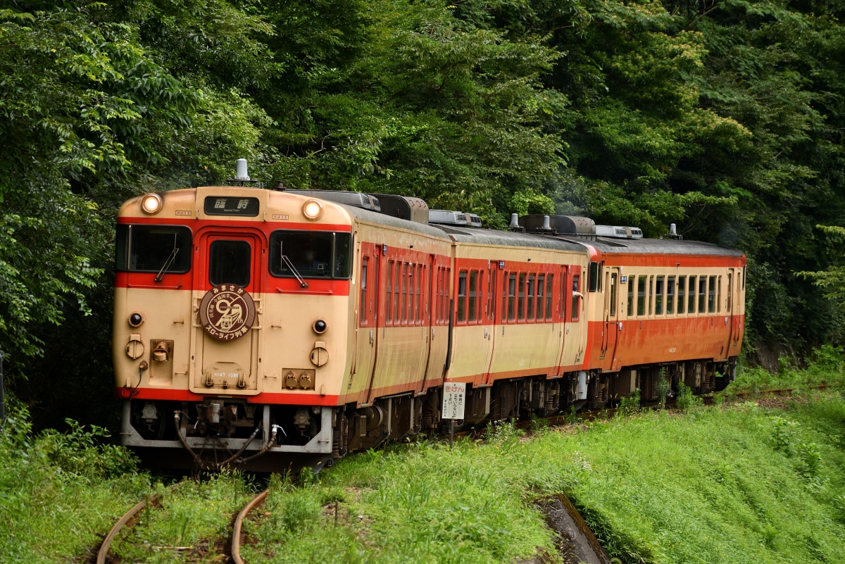 JR西、秋の「みまさかスローライフ列車」因美線 津山～那岐で11月運転