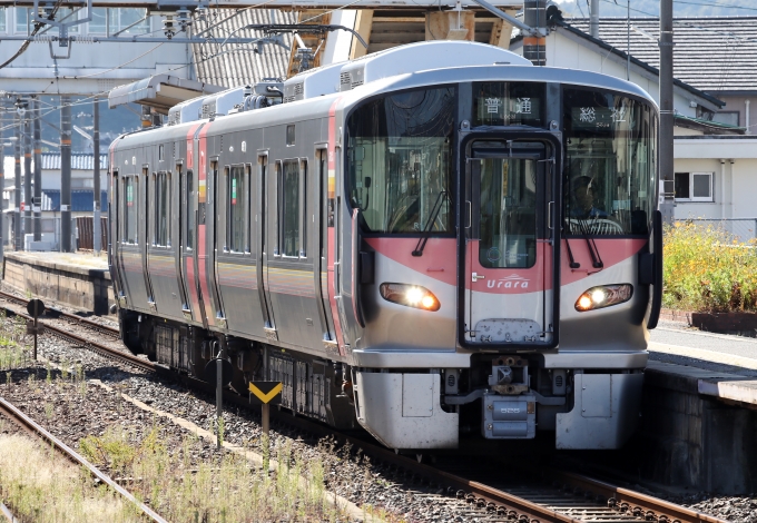 ニュース画像：227系 2023年10月23日撮影 - 「JR西日本、ピンクの227系「Urara」運行区間拡大へ 2024年1月から」