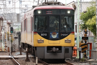 ニュース画像：京阪8000系 2023年04月14日撮影