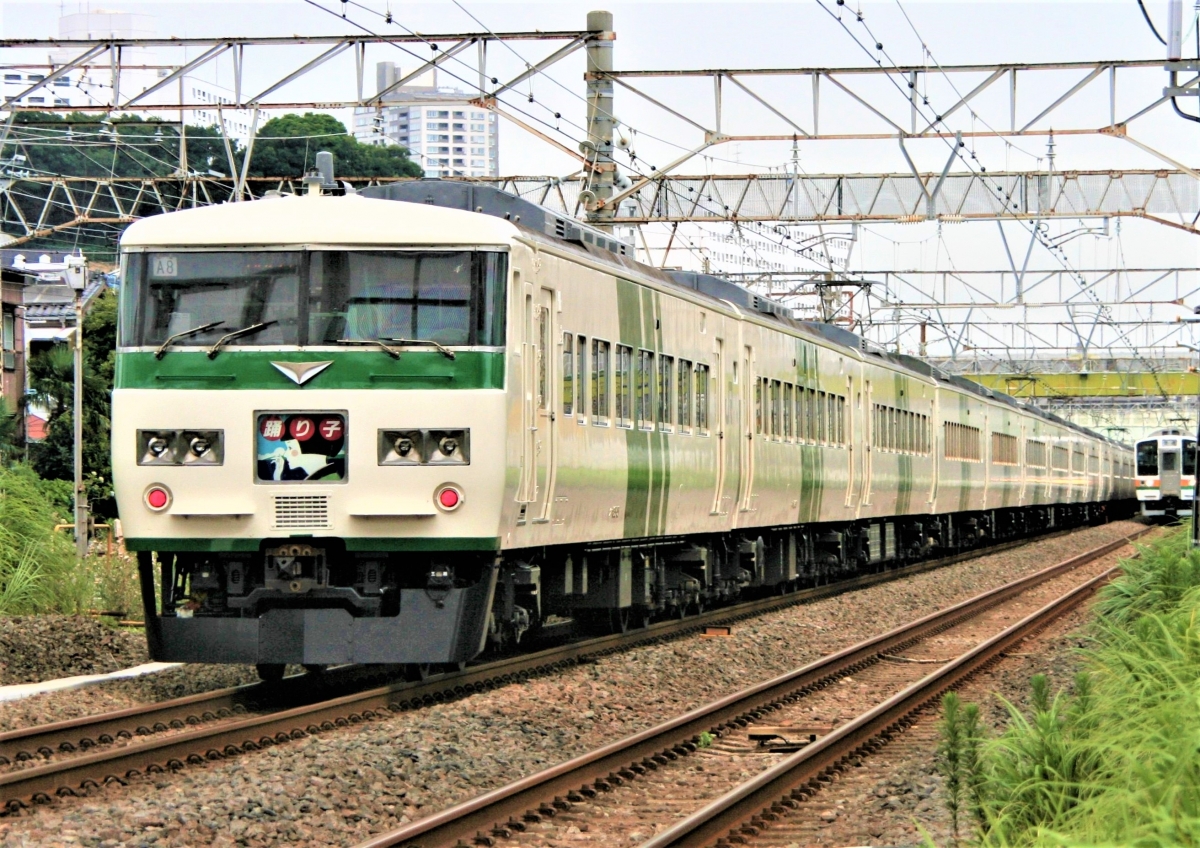 ベルメゾンの“アノテツ”、今度は人気の185系グッズ誕生！「靴下