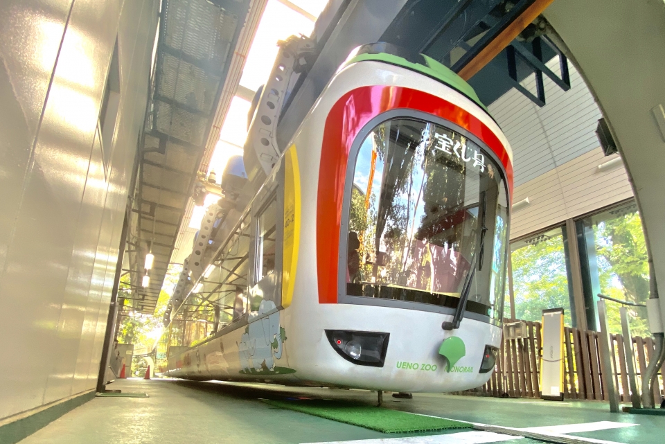 ニュース画像：都営40形 2019年09月28日撮影 - 「上野動物園のモノレールがジェットコースターのような乗り物に？！2026年度供用開始」
