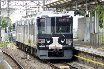ニュース画像：横浜高速鉄道Y000系 うしでんしゃ 2022年06月17日撮影 - 「東急 こどもの国線、GWに臨時列車 うし&ひつじでんしゃ連結運転も！」