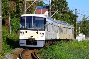 ニュース画像：横浜高速鉄道Y000系 ひつじでんしゃ 2021年10月11日撮影