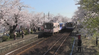 ニュース画像：NHK ドキュメント72時間 選、「能登半島 桜咲く無人駅で」4月29日