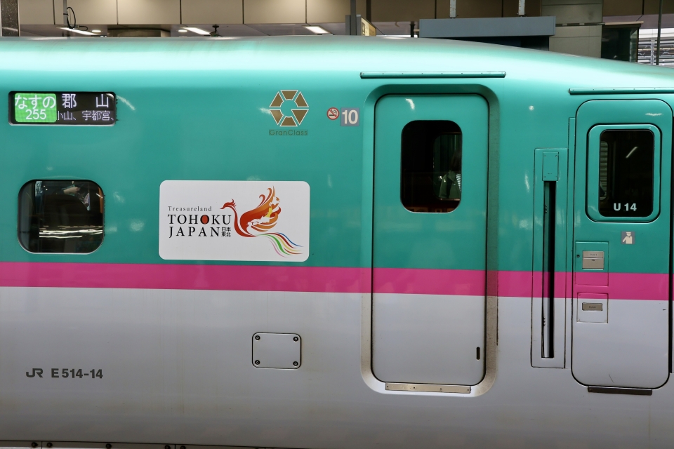 ニュース画像：E5系車両に貼り付けられている「Treasureland TOHOKU - JAPAN」ロゴマーク　2024年04月27日撮影 - 「東北新幹線で増殖中？先頭車ステッカーに小変化、「TOHOKU Relax」とは」