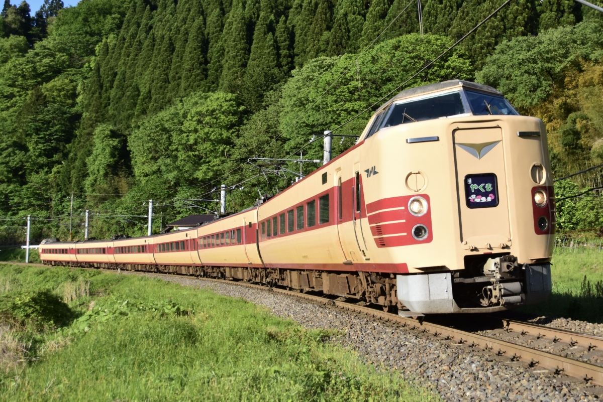 これがラストチャンス！381系「やくも」3色連結展示に幕回し見学ツアー