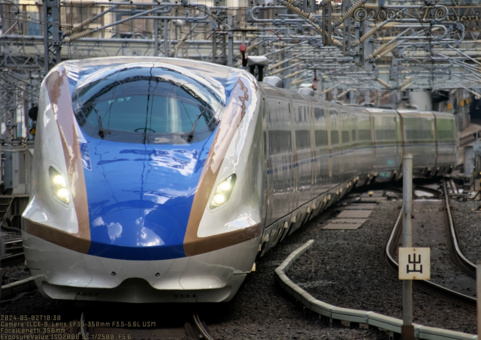 ニュース画像：E7・W7系新幹線 2024年05月02日撮影 - 「初のE3系「銀つば」・E7系の撮影会、新潟新幹線車両センターで開催！9月7日」