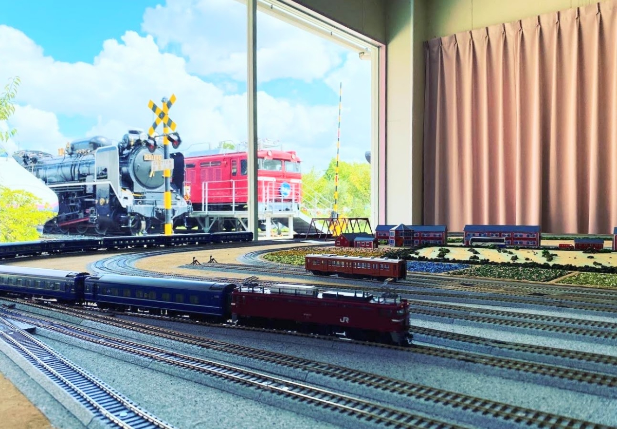 ミヤザワ パノラマしなの 50周年記念 ミヤザワ パノラマしなの 50周年記念