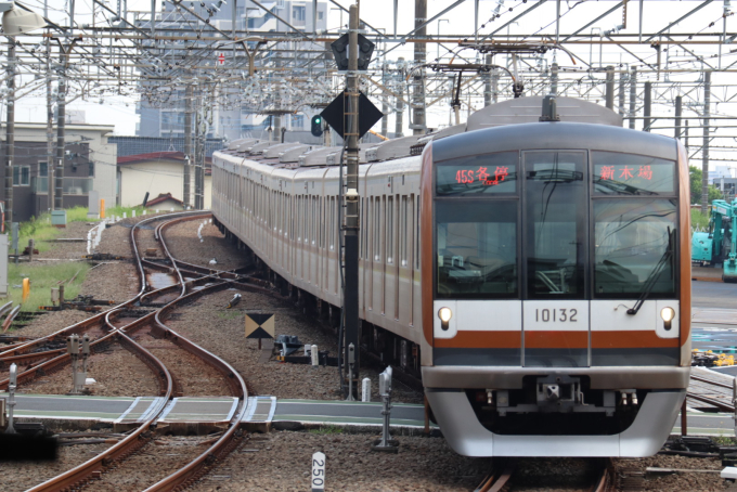 東京に「辰年」と「巳年」をつなぐ駅があった！どんなとこ