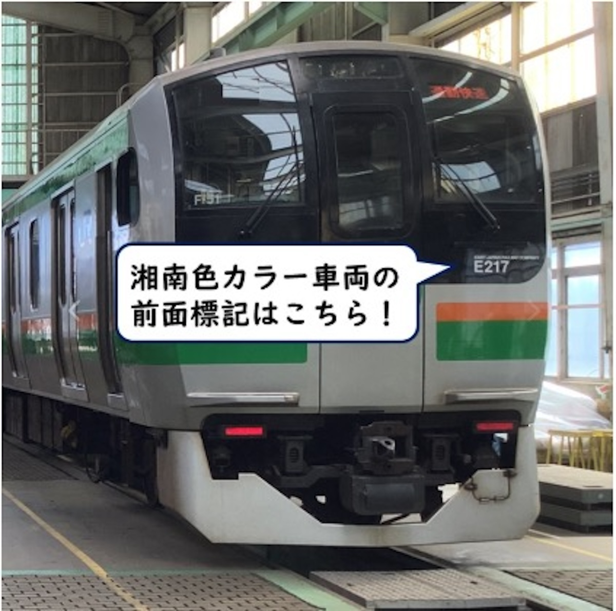 E217系 「Y101」旧カラーと湘南色がコラボ！リバイバルシリーズ撮影会