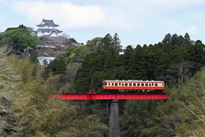 いすみ鉄道「キハ52 125号車」、老朽化で引退へ…記念イベント開催