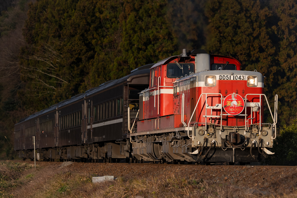 国鉄DD51形ディーゼル機関車 鉄道ニュース・話題 | レイルラボ(RailLab)