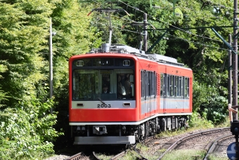 箱根登山鉄道110号 引退サボ　鉄道部品 箱根登山鉄道110号 引退サボ鉄道部品