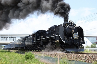 JR東日本 クハ481-3342 (485系) 車両ガイド | レイルラボ(RailLab)