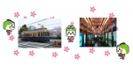 ニュース画像：「都電さくら号」イメージ - 「都電荒川線、桜の装飾を施した「都電さくら号」を運行 3月17日から」