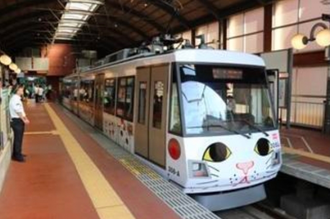ニュース画像：世田谷線の「幸福の招き猫電車」 - 「東急電鉄、世田谷線の「幸福の招き猫電車」の運行を9月末まで延長へ」