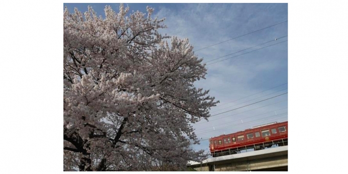 ニュース画像：観光列車「ろくもん」 イメージ - 「しなの鉄道、観光列車「ろくもん」上田・上越高田号の出発式を開催 4月7日」