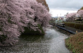 画像：減速する霞城公園付近 - 「JR東日本、奥羽本線山形～北山形間で桜の開花時期にあわせ減速運転」