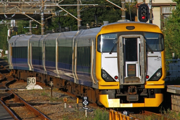 ニュース画像：E257系 イメージ - 「青梅線、5月下旬の週末に「青梅 奥多摩新緑号」運行 E257系を使用」