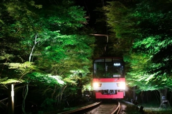 ニュース画像：過去開催時の「もみじのトンネル」 - 「叡山電鉄、「七夕伝車」運行へ「もみじのトンネル」ライトアップを実施」