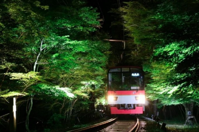 画像：過去開催時の「もみじのトンネル」 - 「叡山電鉄、「七夕伝車」運行へ「もみじのトンネル」ライトアップを実施」