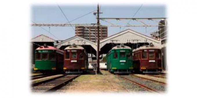 画像：モ161形車ラインナップ - 「阪堺電軌、モ161形の90周年を記念し9月中旬に撮影会を開催」