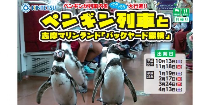 画像：ツアー告知 - 「近鉄、ペンギン列車に乗車する水族館のバックヤード見学ツアーを開催へ」