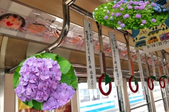 画像：展示イメージ - 「弘南鉄道、車内に「あじさいまつり」のお絵描き&川柳コンテスト作品を展示」