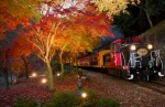 ニュース画像：嵯峨野観光鉄道「紅葉ライトアップ」イメージ - 「嵯峨野観光鉄道、沿線で紅葉をライトアップ  期間中に臨時列車を運転」