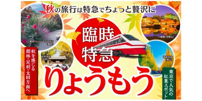 ニュース画像：臨時「りょうもう」告知 - 「東武鉄道、10月・11月の土日祝日に特急「りょうもう号」を増発へ」