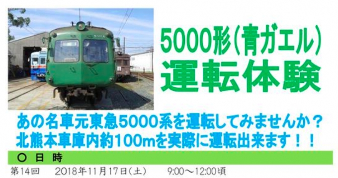 ニュース画像：5000形運転体験 告知 - 「熊本電気鉄道、5000形「青ガエル」の運転体験を11月に開催へ」